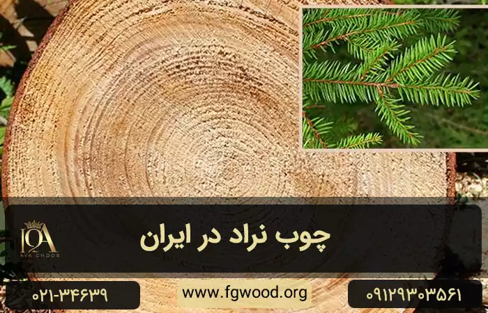 تنه درخت نراد در ایران