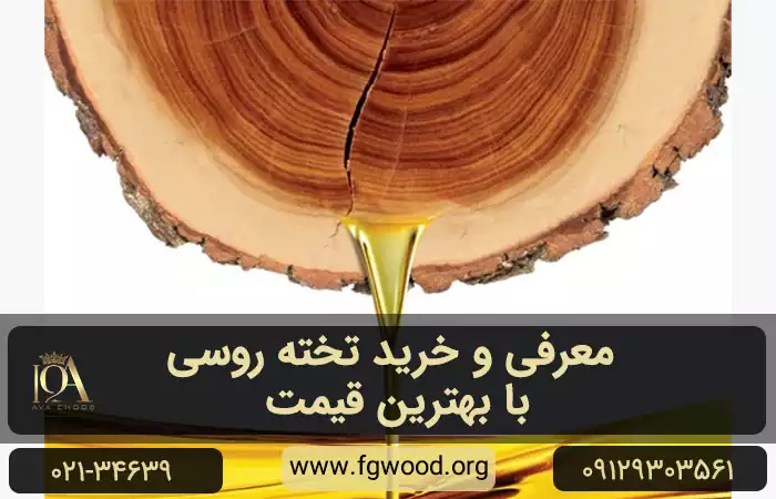 چکه کردن روغن الیف چوب از تنه درخت