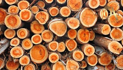 بررسی قیمت چوب