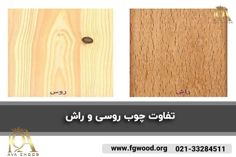 تفاوت چوب روسی و راش