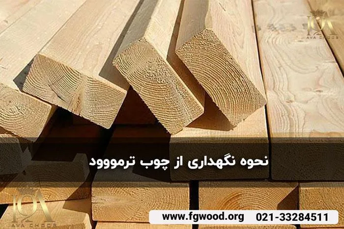 نحوه نگهداری ترمووود