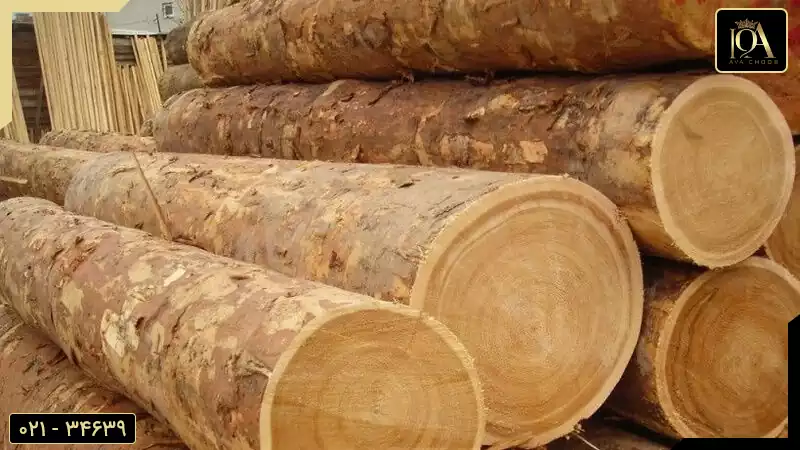 واردات چوب روسی 1