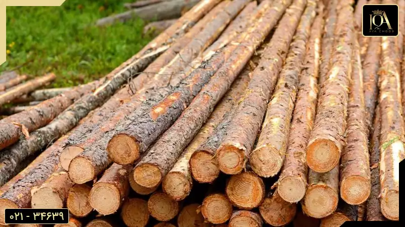 واردات چوب روسی 2