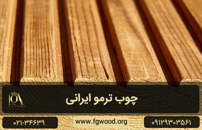 ترمووود ایرانی